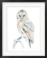 Arctic Owl II Fine Art Print