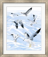 Seagull Soiree I Fine Art Print