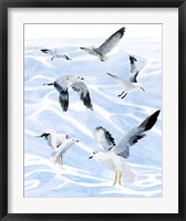 Seagull Soiree I Fine Art Print