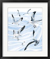 Seagull Soiree II Framed Print