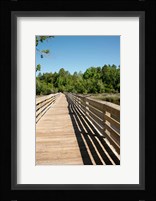 Alabama, Theodore Bayou Boardwalk of the Bellingrath gardens Fine Art Print
