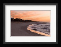 Alabama, Gulf Shores, Beach, shore birds Fine Art Print