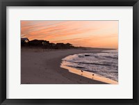 Alabama, Gulf Shores, Beach, shore birds Fine Art Print