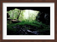 Entrance to Russell Cave National Monument, Alabama Fine Art Print