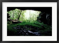 Entrance to Russell Cave National Monument, Alabama Fine Art Print