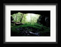 Entrance to Russell Cave National Monument, Alabama Fine Art Print