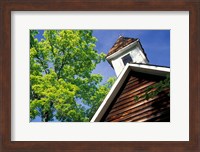 Old School House, Palisades Park, Alabama Fine Art Print