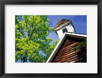 Old School House, Palisades Park, Alabama Fine Art Print