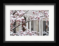 Twickenham in Christmas, Huntsville, Alabama Fine Art Print