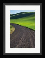 Going Through Palouse Wheat Fields Fine Art Print