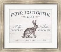 Peter Cottontail Fine Art Print