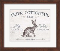 Peter Cottontail Fine Art Print