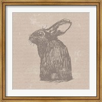 Tan Bunny Fine Art Print