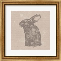 Tan Bunny Fine Art Print