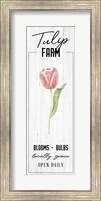 Tulip Farm Fine Art Print