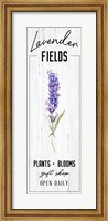 Lavender Fields Fine Art Print