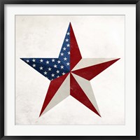 Star Flag Fine Art Print
