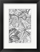 Botanical BW I Fine Art Print