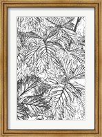 Botanical BW I Fine Art Print