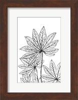 Botanical BW III Fine Art Print