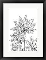 Botanical BW III Fine Art Print