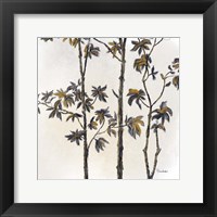 Leafy Treetop III Fine Art Print