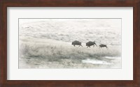 Buffalo Stampede Fine Art Print