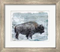 Winter Buffalo Fine Art Print