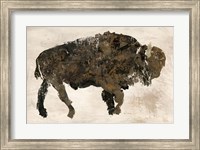 Abstract Buffalo Fine Art Print