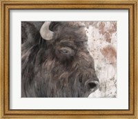 Yellowstone Buffalo Fine Art Print