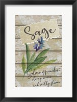 Sage Fine Art Print
