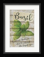 Basil Fine Art Print
