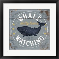 Whale Watching Framed Print