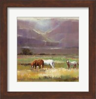 Field of Horses Fine Art Print