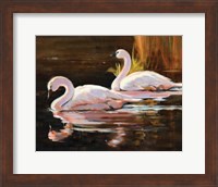 Swans Fine Art Print
