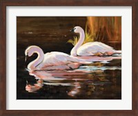 Swans Fine Art Print