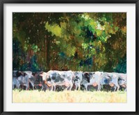 The Herd Fine Art Print