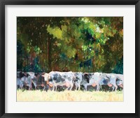 The Herd Fine Art Print