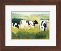 Cows are Out Fine Art Print