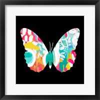 Butterfly Framed Print