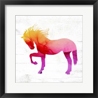 Horse I Framed Print