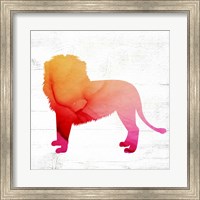 Lion Fine Art Print