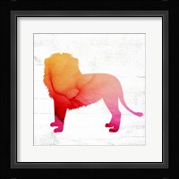 Lion Framed Print