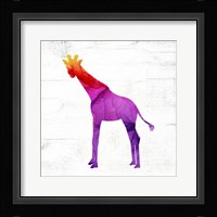 Giraffe Framed Print
