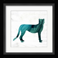 Cheetah Framed Print