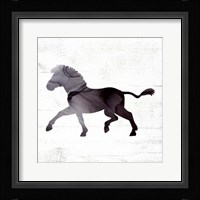 Zebra Framed Print
