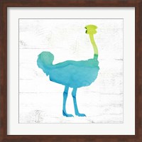 Ostrich Fine Art Print