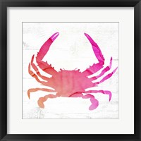 Crab Fine Art Print