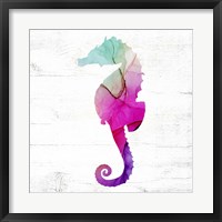 Seahorse Fine Art Print