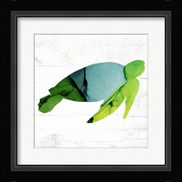Sea Turtle Framed Print